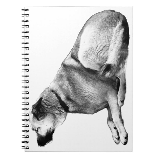 Snow-Quiet Listener Notebook (Front)