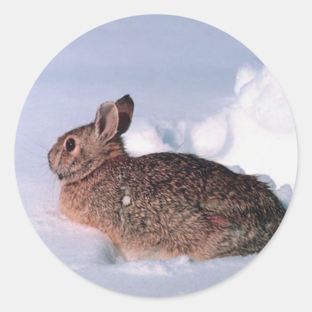 Snow Rabbit Christmas Card Envelope Seals (Front)