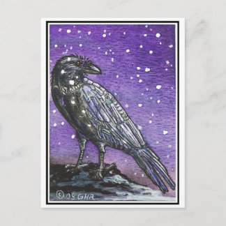 Snow Raven Postcard