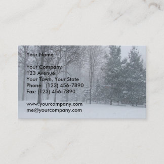 Snow Removal Business Card
