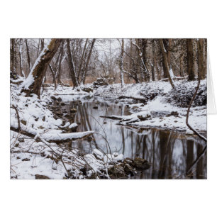Snow Riverside