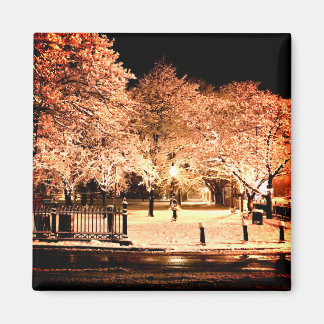 Snow Salem Common Massachusetts Photo Magnet