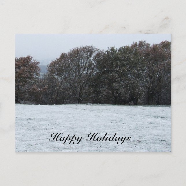 Snow Scene Holiday Postcard (Front)