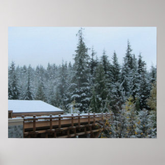 Snow Scene in Whistler, B.C. Poster