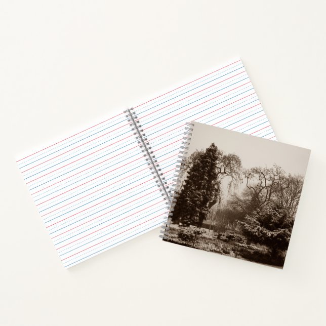 snow scene park and trees landscape in winter notebook (Inside)