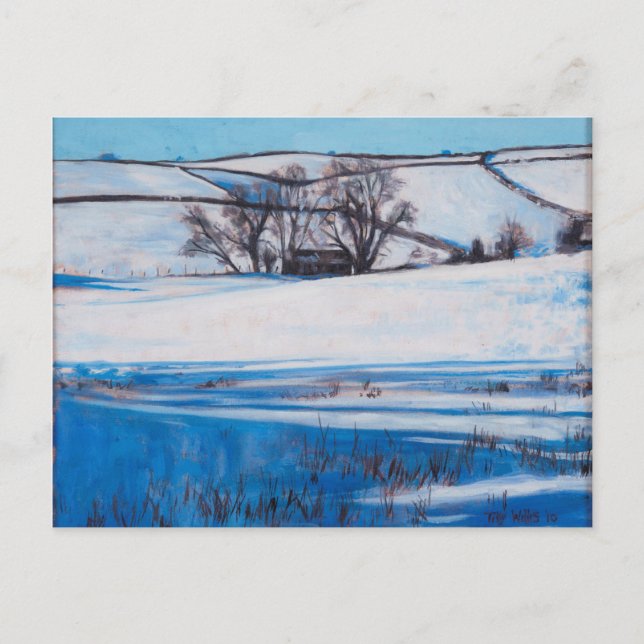 Snow Shadows 2010 Postcard (Front)