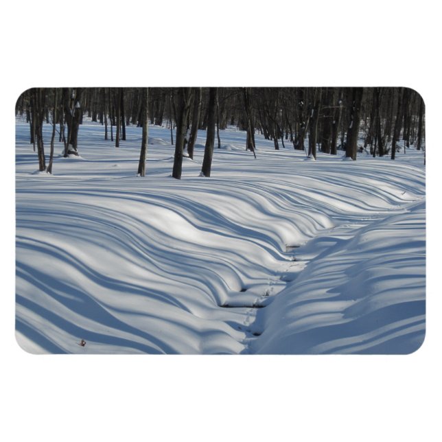 Snow Shadows Magnet (Horizontal)