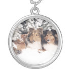 Snow Shelties