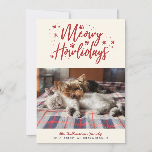 Snow Stars Meowy Howlidays Pet Photo Christmas Holiday Card (Front)