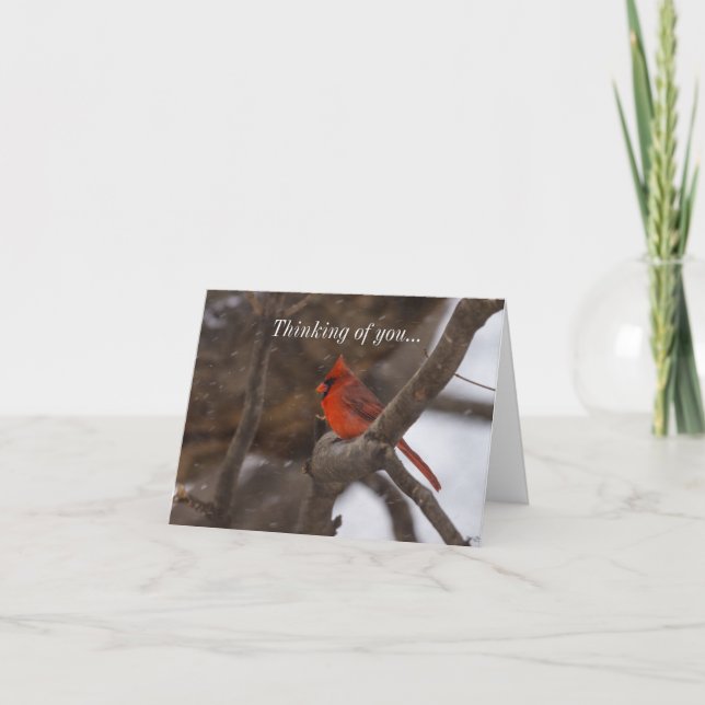 Snow Storm Cardinal Thinking Of You Card (Front)