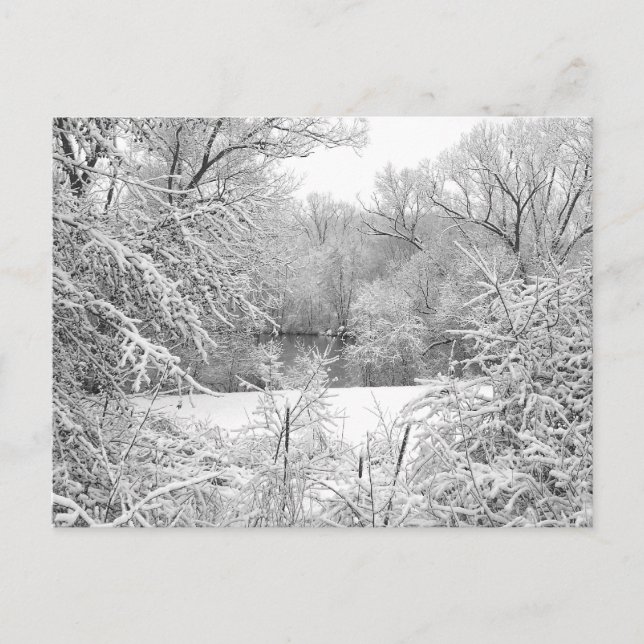 Snow Storm Postcard (Front)