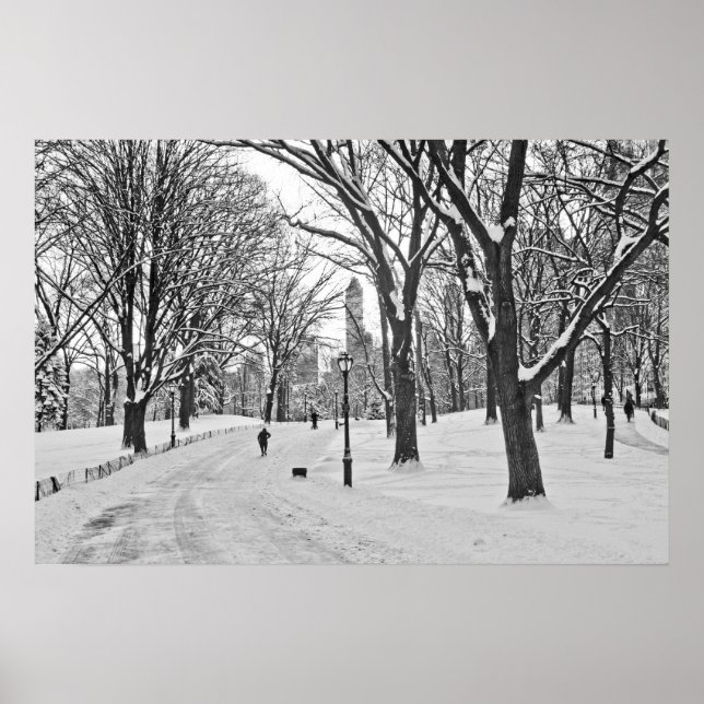 Snow Stroll in Central Park Poster (Front)