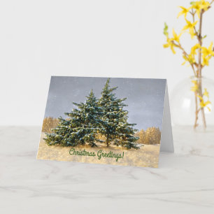 Snow Texas Cedar Trees Winter Christmas Holiday Card