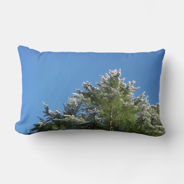 Snow-tipped Pine Tree on Blue Sky Lumbar Pillow (Front)