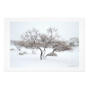 Snow Tree by Sidharta Pascual Photo Print