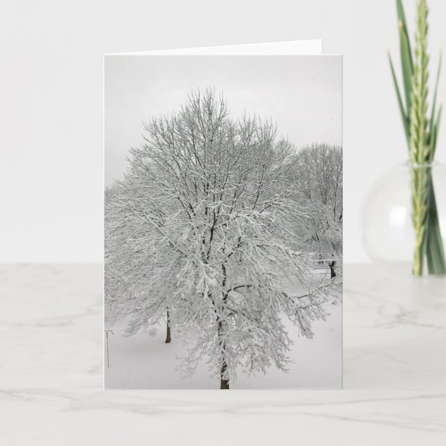 Snow Trees Card (Front)