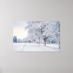 Snow trees in Winter Canvas Print