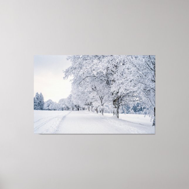 Snow trees in Winter Canvas Print (Front)