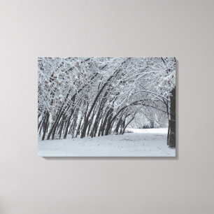 Snow Trees Landscape Single Print