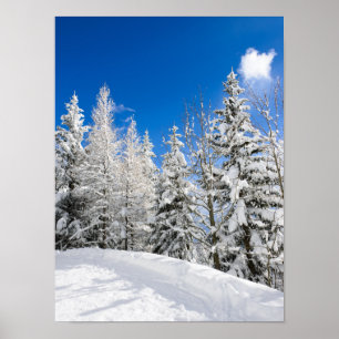 Snow trees under a clear blue sky poster