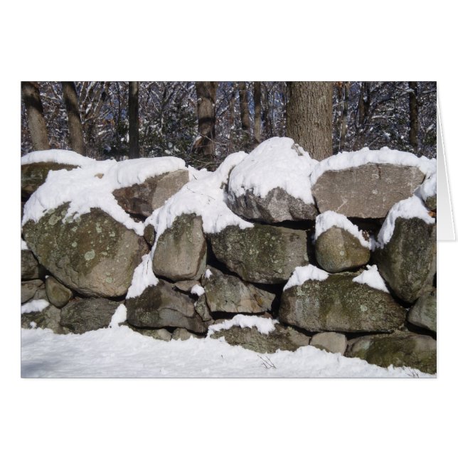 snow wall (Front Horizontal)