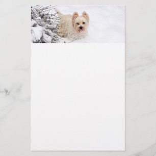 Snow Westie Dog Photo Stationery Paper