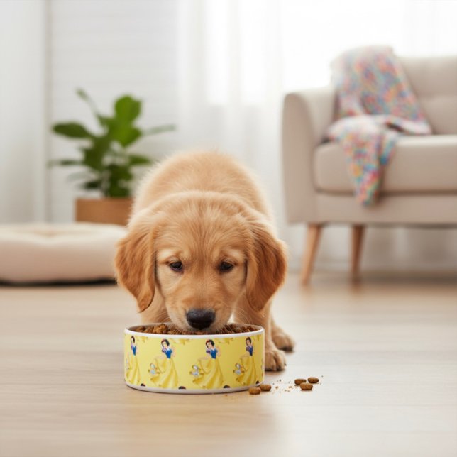 Snow White Bowl (Creator Uploaded)