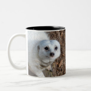 Snow White Fur Meerkat, Two-Tone Coffee Mug