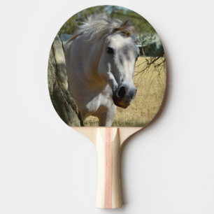 Snow White The Horse, Ping Pong Paddle