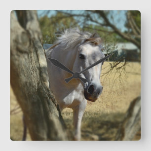 Snow White The Horse, Square Wall Clock
