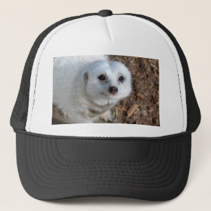 Snow White The Meerkat, Trucker Hat