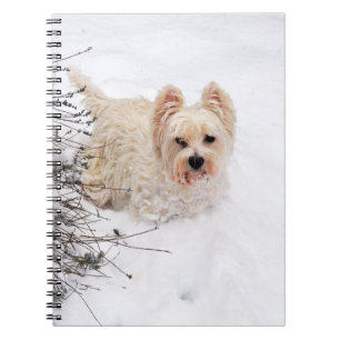 Snow White Westie Dog Photo Notebook