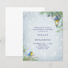 Snow Winter Lamp and Bird Illustration Programme