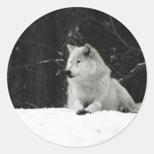 Snow Wolf Classic Round Sticker