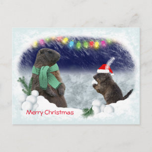 Snowball Fight Postcard