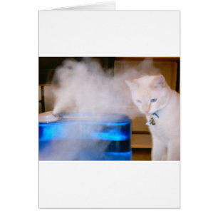 "Snowball in the Mist"