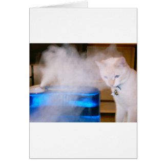 "Snowball in the Mist"