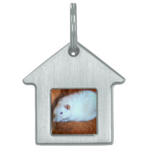 Snowball White Rat Pet Tag