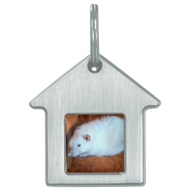Snowball White Rat Pet Tag (Front)