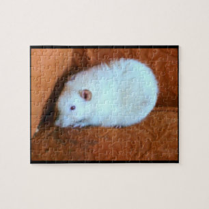Snowball White Rat Puzzle