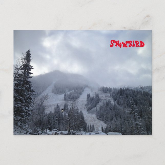 Snowbird Postcard (Front)