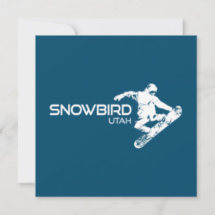 Snowbird Utah Snowboarder