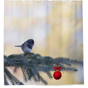 Snowbird visiting an evergreen with a red ornament
