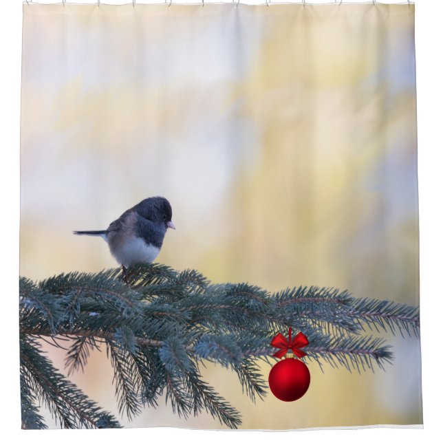 Snowbird visiting an evergreen with a red ornament (Front)