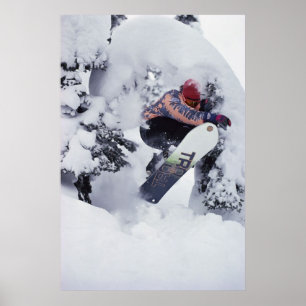 Snowboarding Poster