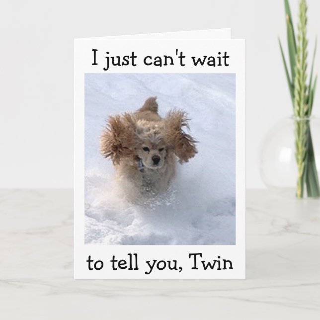 **SNOWBOUND COMEDIC DOG** FOR TWIN'S BIRTHDAY CARD (Front)