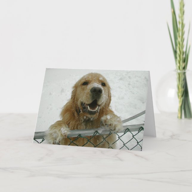 Snowdog Card (Front)