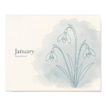 Snowdrop Botanical Art Print | January Flower