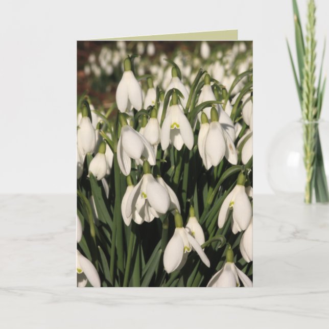 Snowdrop Card (Front)