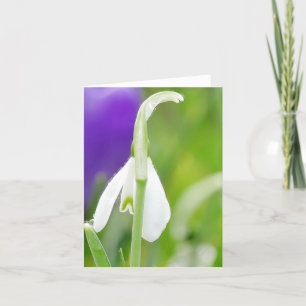 Snowdrop Card